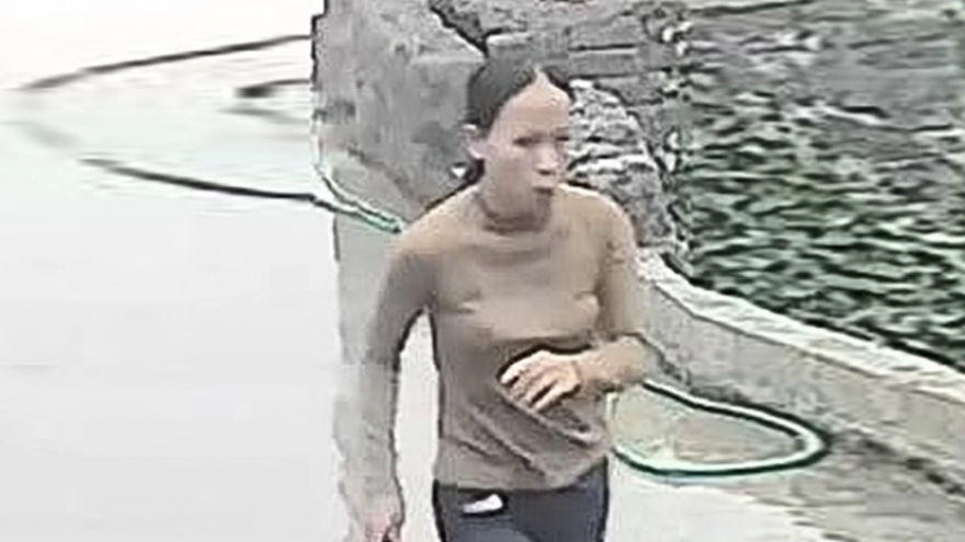 Người phụ nữ ở Ninh Bình mất tích bí ẩn khi vào rừng bắt ốc